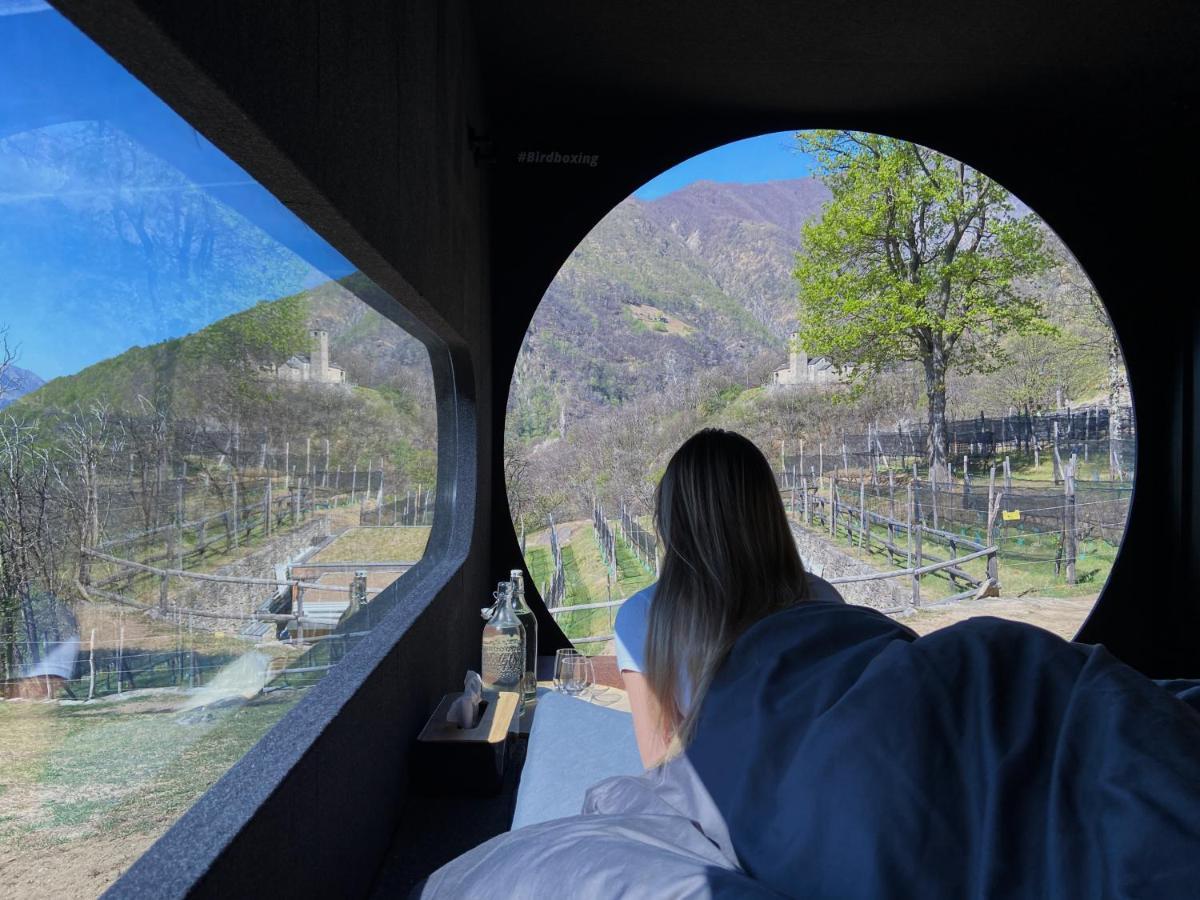 Birdbox Curzutt Hotel Monte Carasso Exterior foto