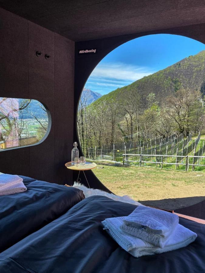 Birdbox Curzutt Hotel Monte Carasso Exterior foto