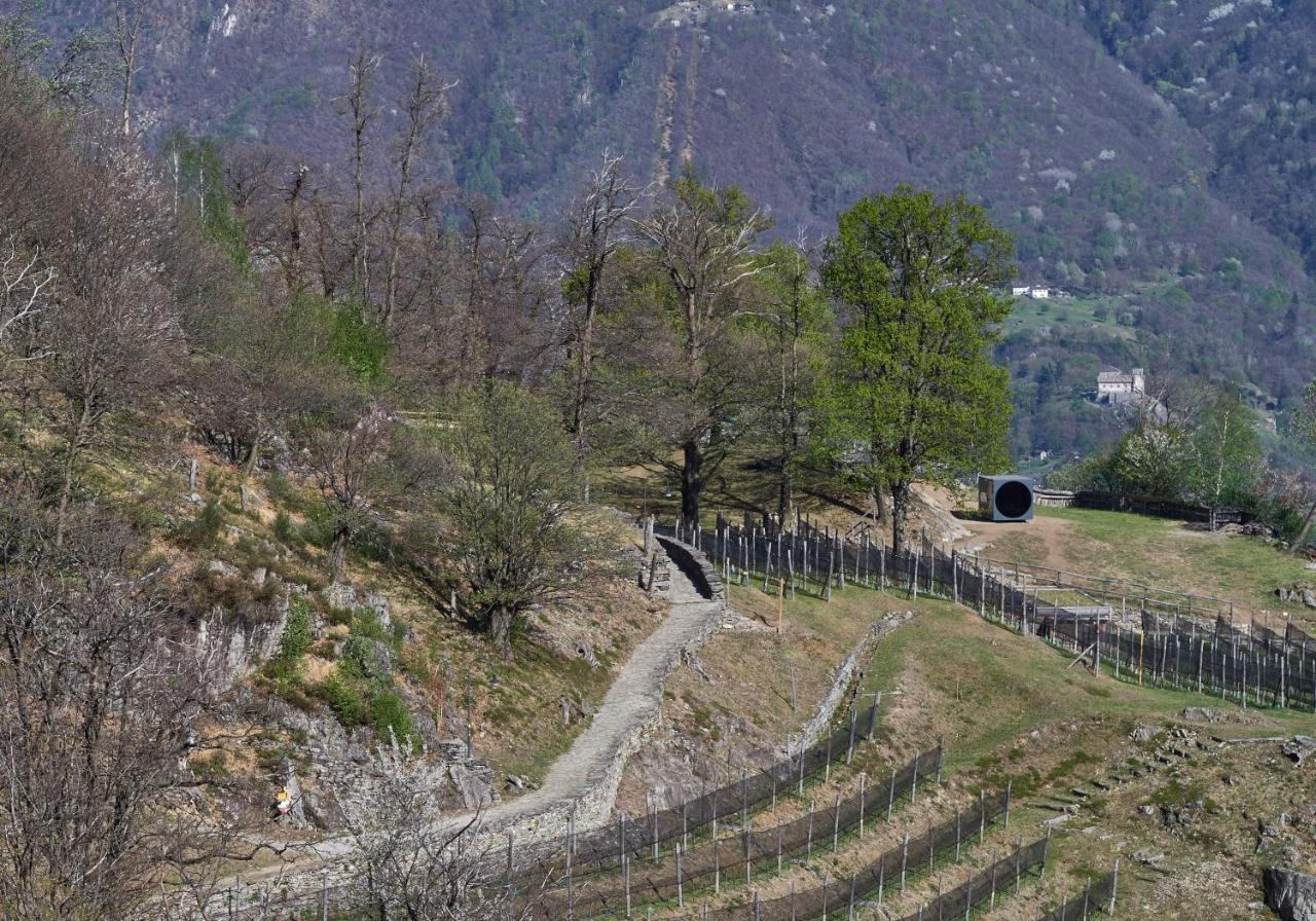 Birdbox Curzutt Hotel Monte Carasso Exterior foto