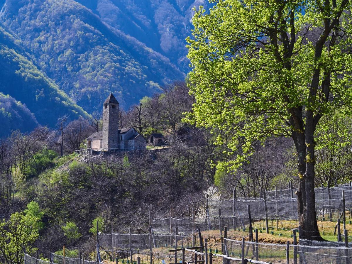 Birdbox Curzutt Hotel Monte Carasso Exterior foto