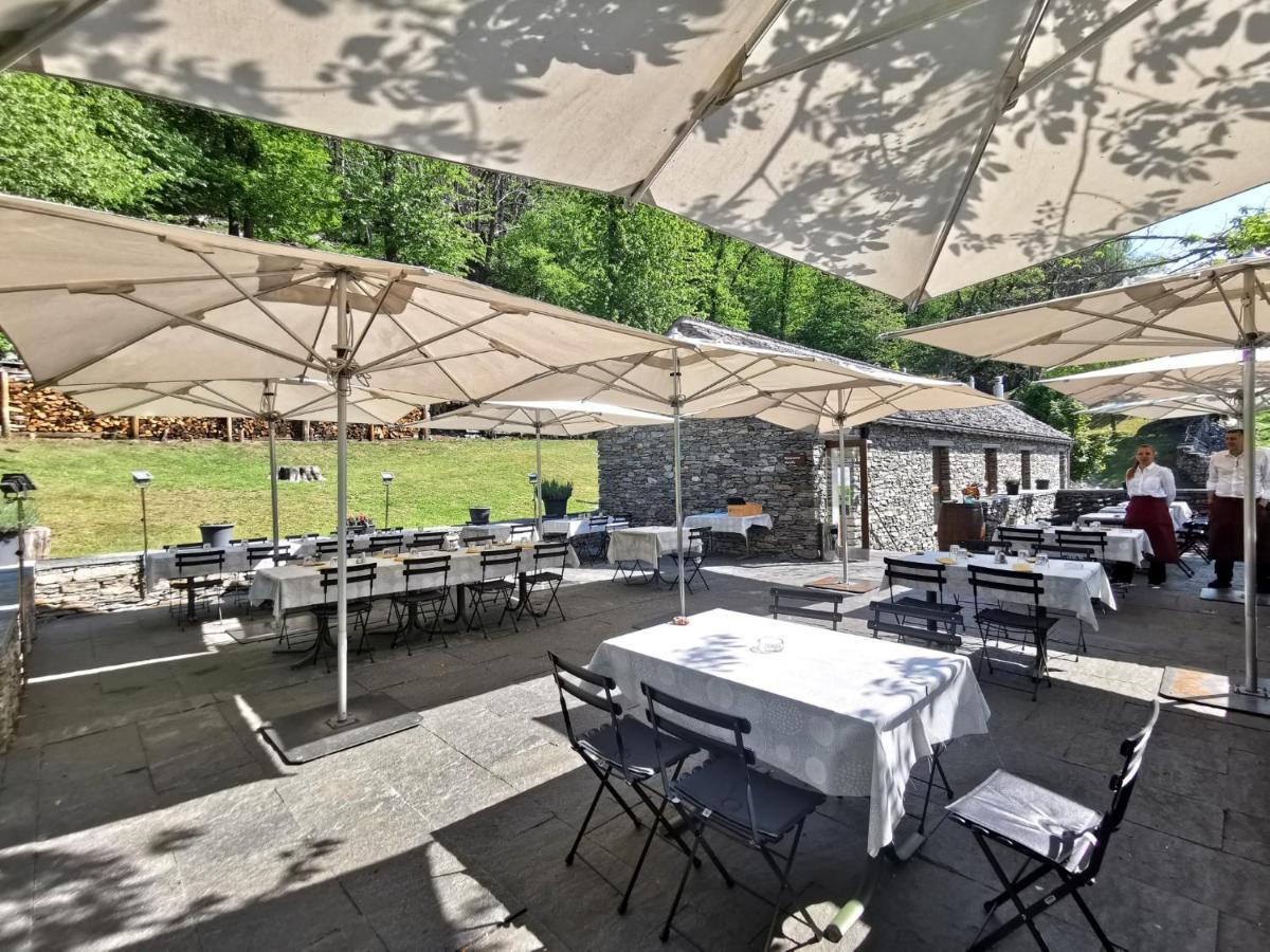 Birdbox Curzutt Hotel Monte Carasso Exterior foto